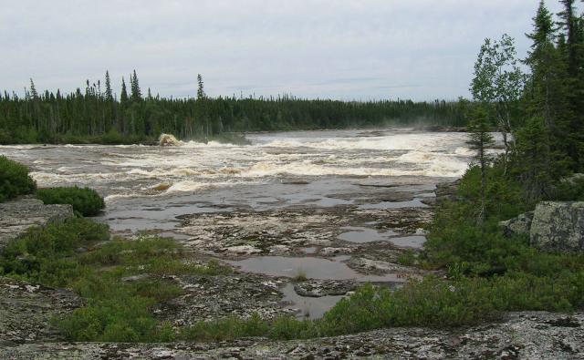 DSCN1307.JPG Петух!