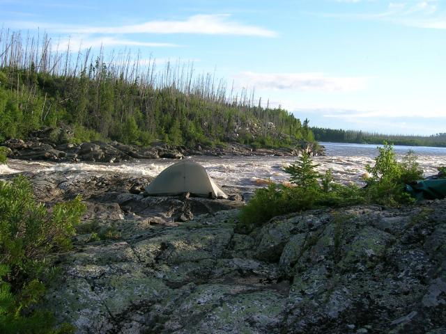 DSCN1333.JPG Митина перс