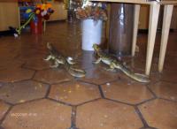 those are rubber reptiles